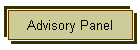 Advisory Panel